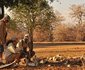 Zambezi Expeditions