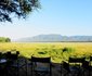 Zambezi Expeditions