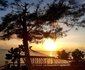 Queen of Sheba Beach Lodge