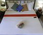 Carpe Diem Guest House