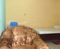 Guest House Saint Charles