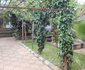 Chagula Garden Hotel