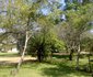 Mutirikwi Lake shore Lodges
