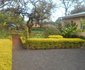 Jacaranda Home