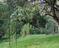 Mount Kenya Leisure Lodge