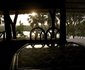 Doho Lodge and Hippos Sanctuary