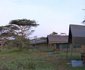Ndutu Camp