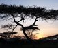 Ndutu Camp