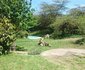 Africa Amini Hillside Retreat