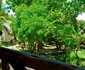 Mkoma Bay Tented Lodge