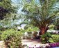 Paradise Campement Auberge
