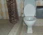 Blessed Grace Guest House