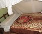 Bamboo Village Guest House