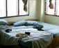 Crystal Hostel