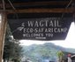 Wagtail Eco Safari camp