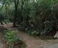 Wagtail Eco Safari camp