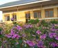 Tembo Safari Lodge
