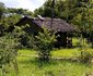 Mikumi African cottages