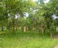 Mikumi African cottages