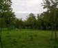 Mikumi African cottages