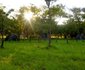 Mikumi African cottages