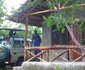 Mikumi African cottages