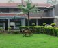 Eden Suites and Lounge