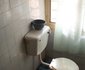 Everton Guest Inn Annex