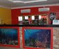 Garden City Marriott Hotel