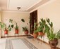 Boni House Bed & Breakfast