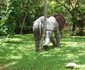 White Elephant Sea & Art Resort