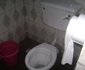 Buddies Hotels