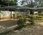Friends Garden Resort