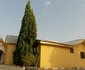 Mevito Suites