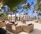 Dream of Zanzibar
