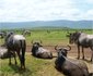 Twiga Lodge & Campsite