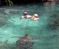 Baraka Aquarium And Bungalows