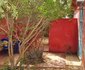 Le Petit Calao d'Abyssinie