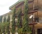 Enbroco Hotels Limited