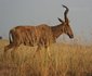 Heritage Safari Lodge