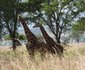 Heritage Safari Lodge
