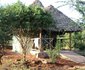 Sau Tsavo Camp