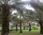 Olomo Beach Resort