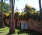 Liana Accommodation