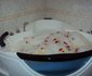 Gezahegn & Elfnesh Hotels And Resorts