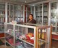 Lamonde Guest House (Orlu Rd.)