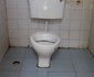 Copas Haven Motel Ltd