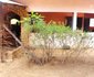 Campement Villageois Le Sitokoto