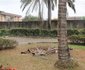 Newbliss Garden Hotels