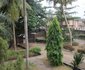 Newbliss Garden Hotels